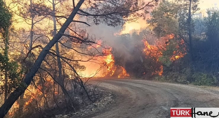 Kozan’da orman yangını