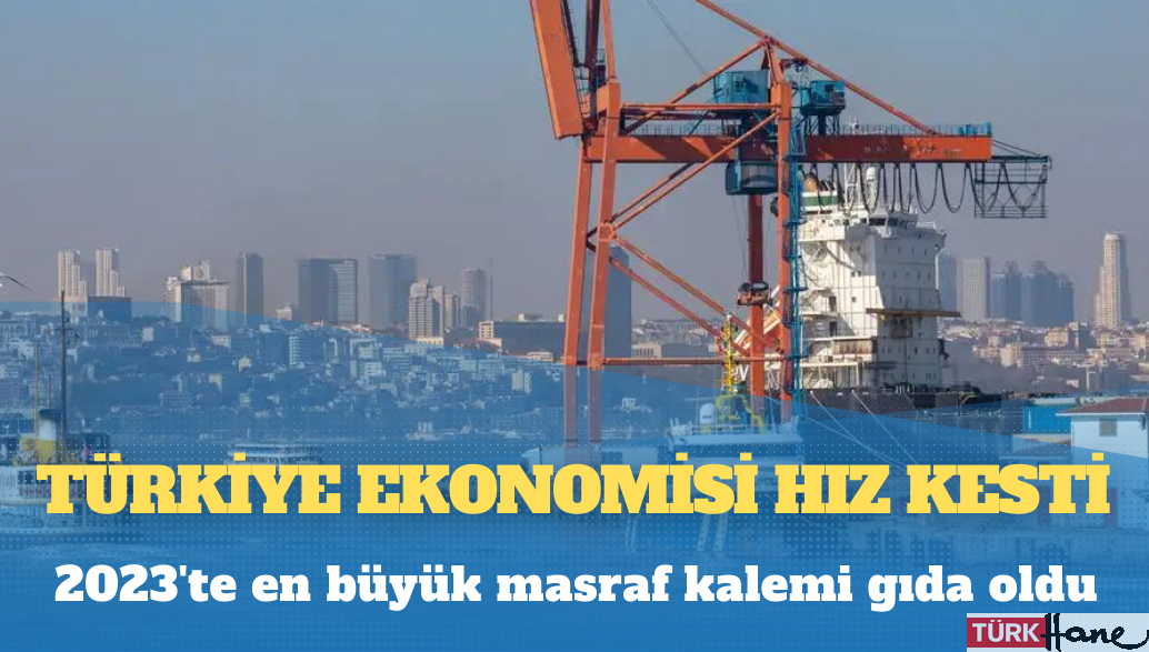 Türkiye ekonomisi hız kesti