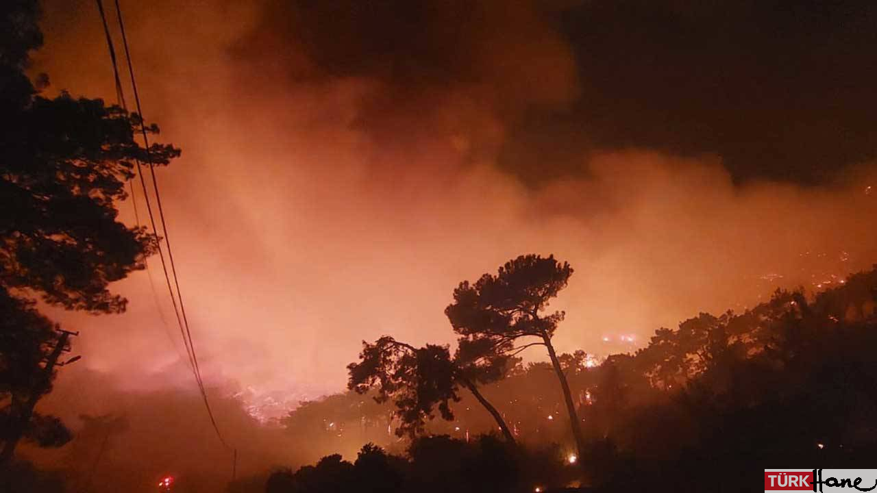 Muğla’da üç bölgede orman yangını