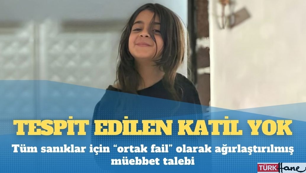 Narin Davası: Tespit edilen katil yok, tüm sanıklar için “ortak fail” olarak ağırlaştırılmış müebbet talebi