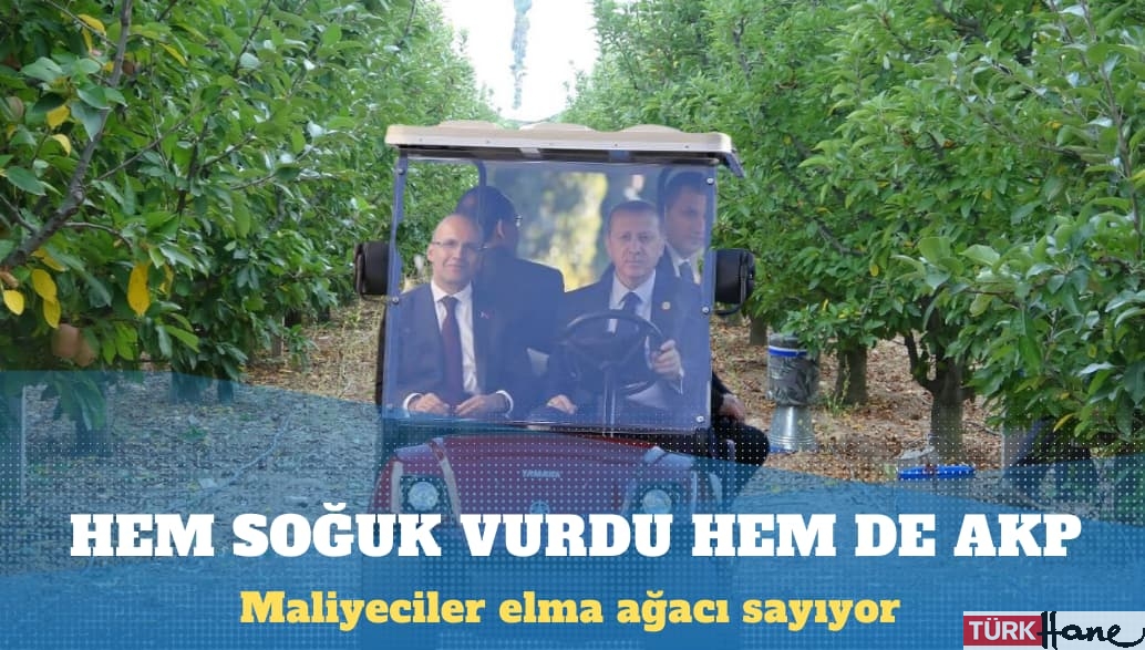 Elma bahçelerine maliyeci gönderen Mehmet Şimşek ağaçları tek tek saydırıp vergi istiyor
