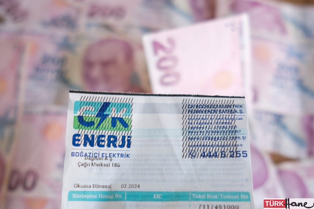 Yeni elektrik faturalarını gören mahkemeye koştu