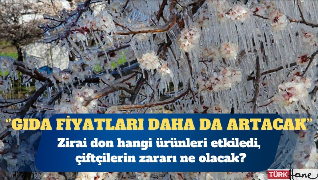 Zirai don hangi ürünleri etkiledi?