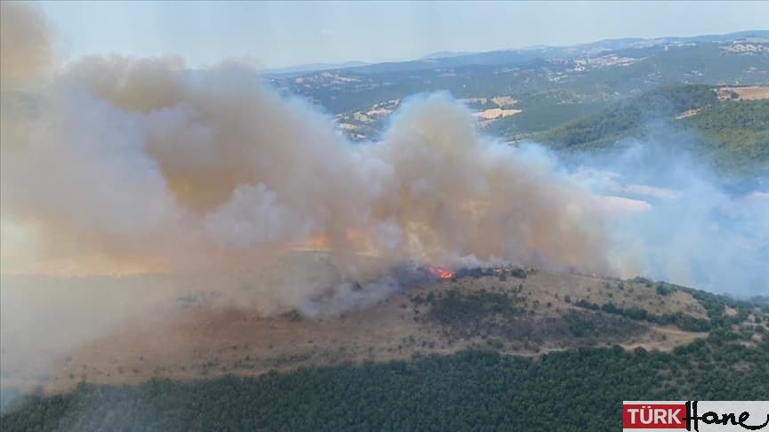 Balıkesir’de orman yangını