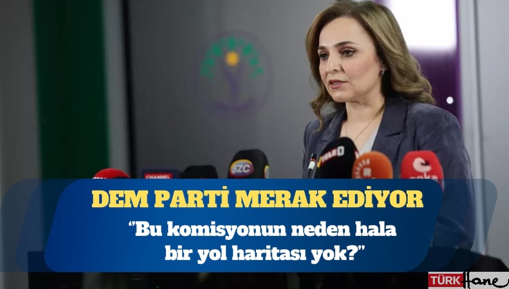 DEM Parti Sözcüsü Ayşegül Doğan: Bu komisyonun neden hala bir yol haritası yok?