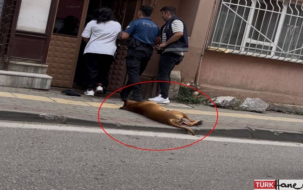 İhbara gelen polisin birini kendi birini köpeğine ısırttı