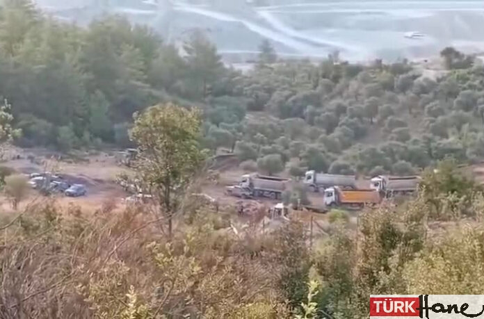 Akbelen’e sabah baskını; giriş çıkışlar kapatıldı, zeytin kıyımına başlandı