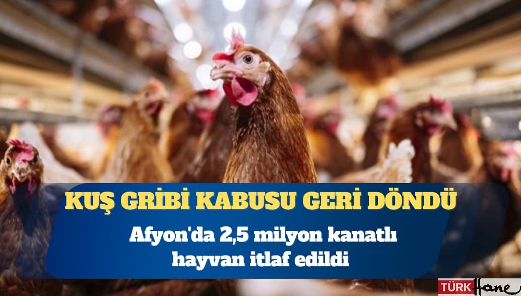 Kuş gribi kabusu geri döndü: Afyon’da 2,5 milyon kanatlı hayvan itlaf edildi