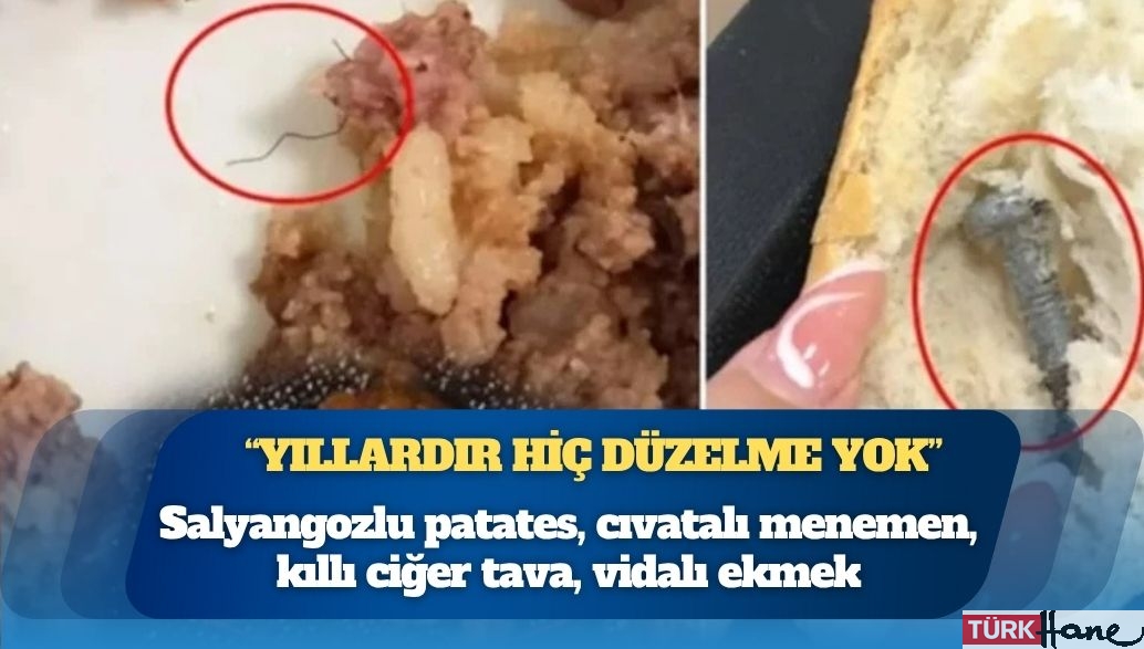 KYK yurdunun yemekleri: Salyangozlu patates, cıvatalı menemen, kıllı ciğer tava, vidalı ekmek