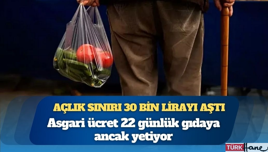 Açlık sınırı 30 bin lirayı aştı: Asgari ücret 22 günlük gıdaya ancak yetiyor