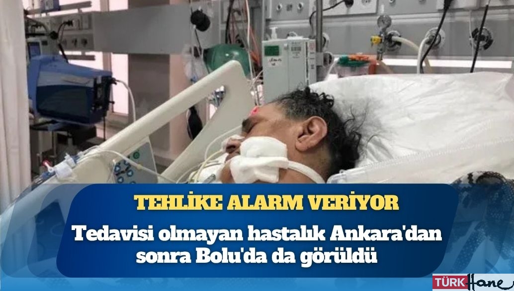 Tehlike alarm veriyor: Tedavisi olmayan hastalık Ankara’dan sonra Bolu’da da görüldü