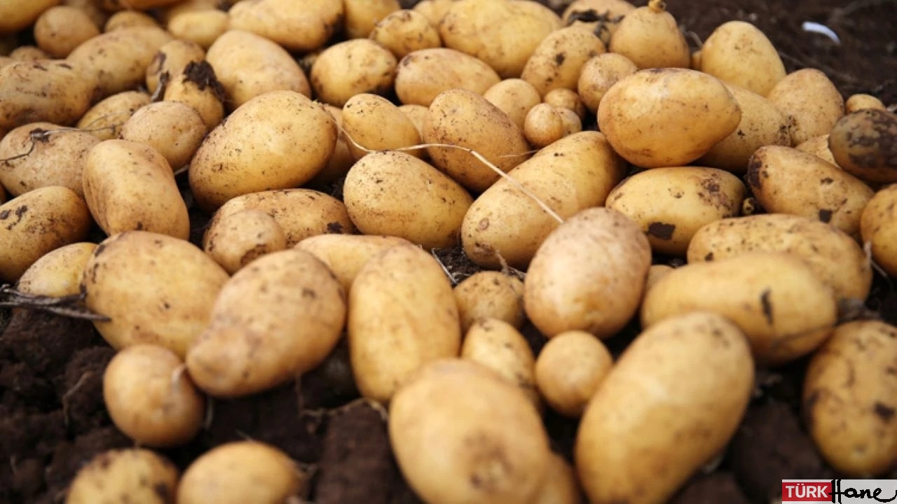 Ekim ayında marketlerin zam şampiyonu belli oldu