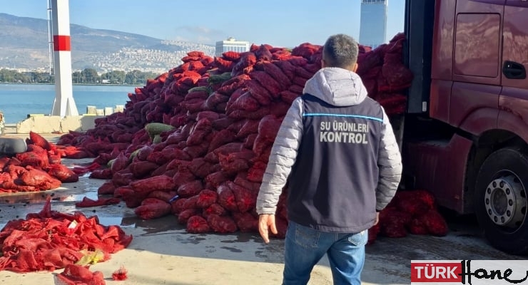 İzmir’de 27 ton kaçak midye bulundu