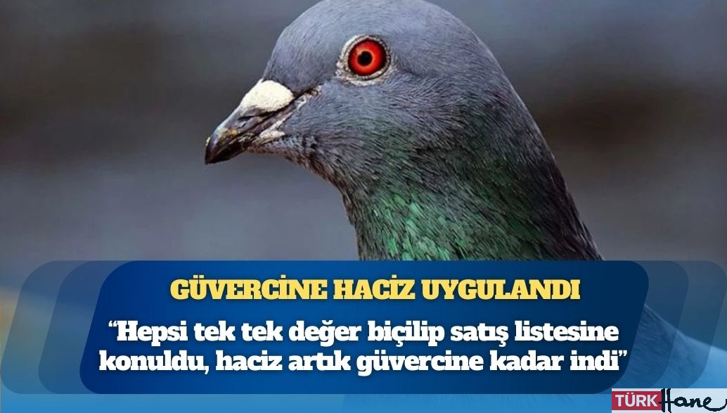 Banka, borca karşılık vatandaşa ait güvercinlere haciz uyguladı