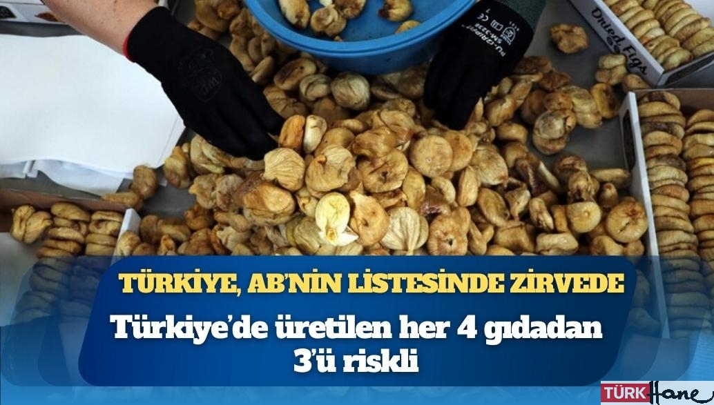 AB raporu: Türkiye’de üretilen her 4 gıdadan 3’ü riskli