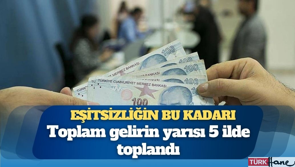 Eşitsizliğin bu kadarı: Toplam gelirin yarısı 5 ilde toplandı