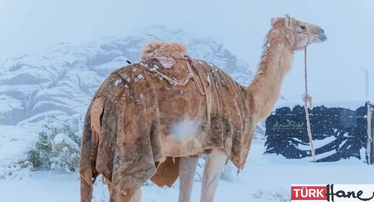 30 yıl sonra Suudi Arabistan’a kar yağdı