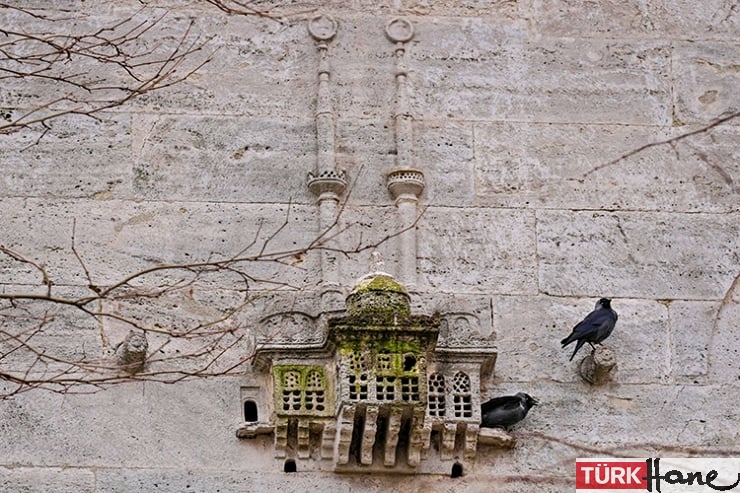 Osmanlı döneminden kalma ‘kuş sarayları’ BBC’de: Şefkat göstergesi