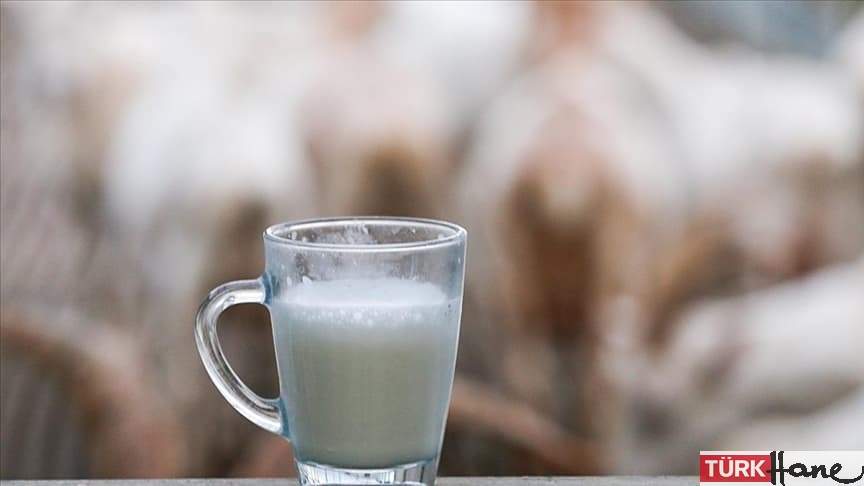 Taklit-tağşiş listesi: Altı süt ve süt ürünü uygunsuz