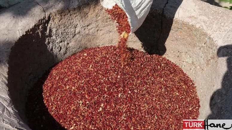 Beş sumak ve toz biberde boya tespit edildi