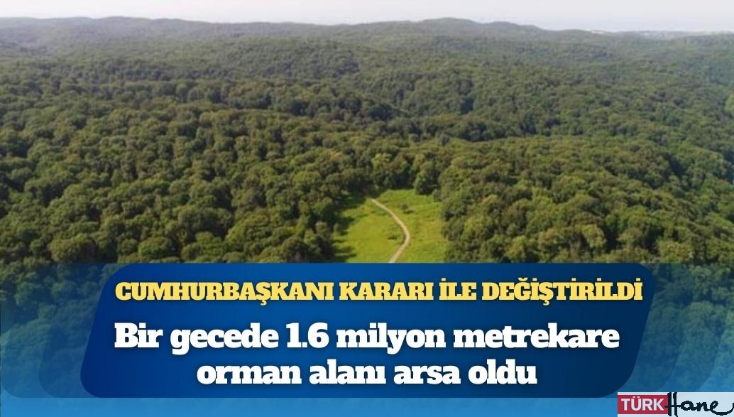 Bir gecede 1.6 milyon metrekare orman alanı arsa oldu