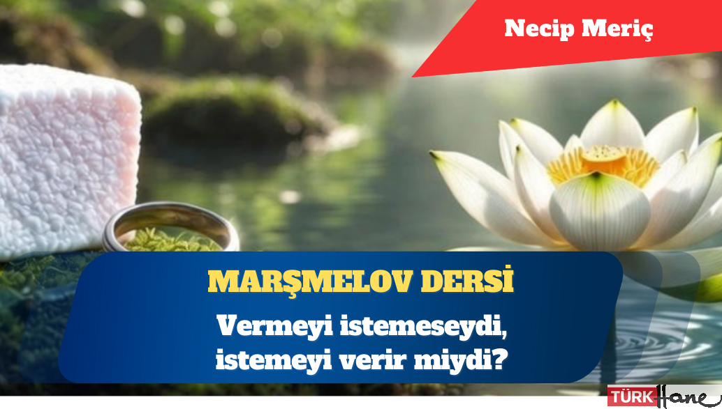 Marşmelov dersi