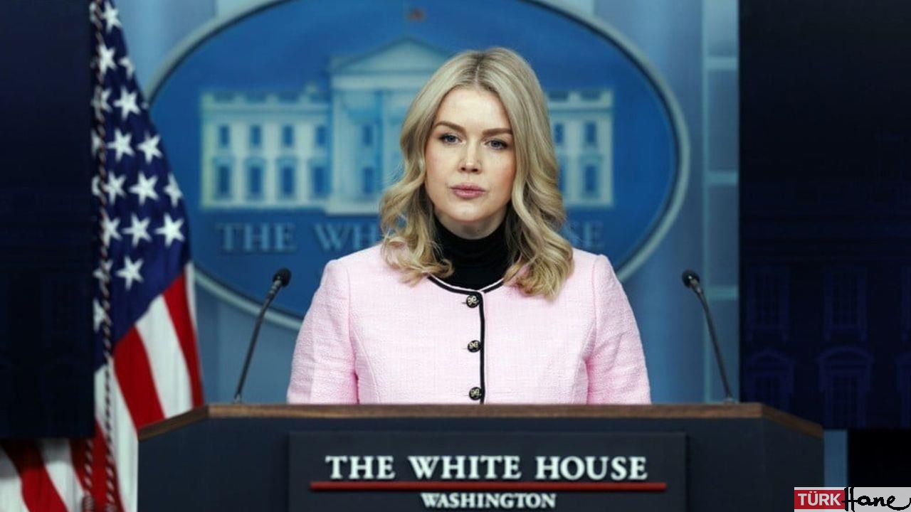 Grönland geriliminde yeni iddia: Trump satın almak istiyor