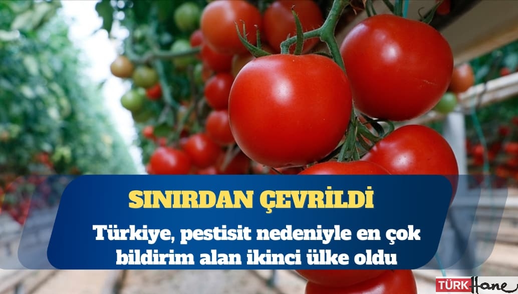 Sınırdan çevrildi: Türkiye, pestisit nedeniyle en çok bildirim alan ikinci ülke oldu