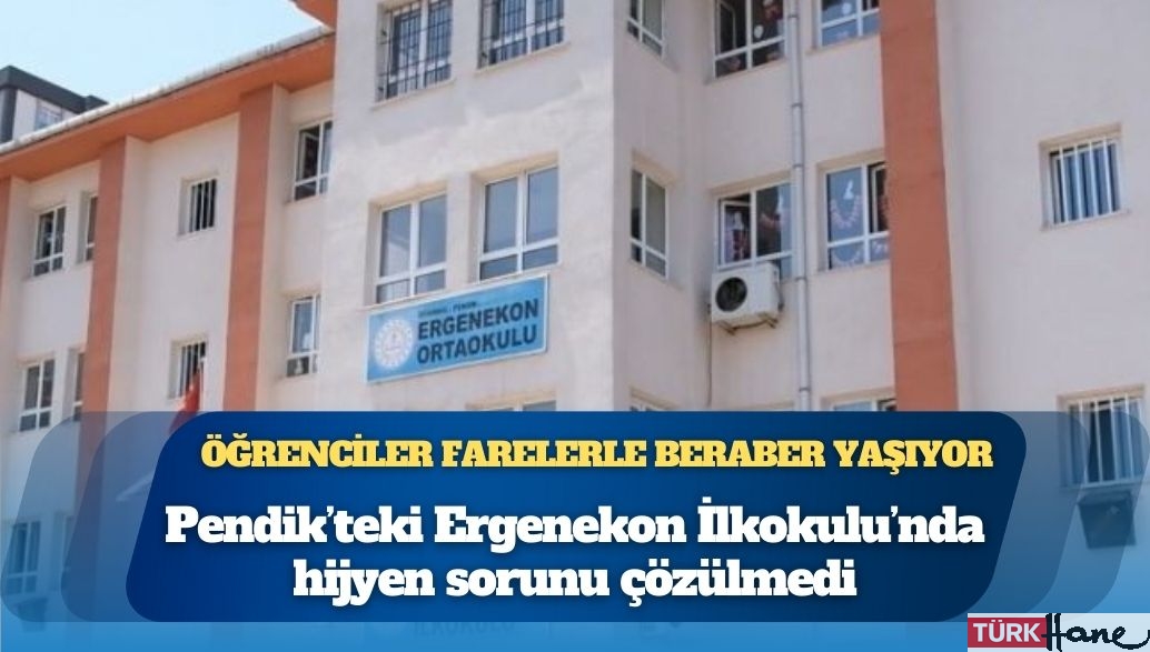 Pendik’te okulda hijyen skandalı: Fareler, kırık kapılar ve tehdit iddiaları