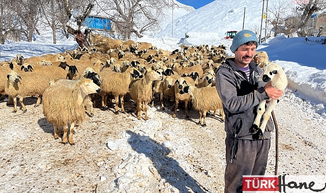 Atanamayan öğretmen hayvancılık yapmaya başladı: Her gün biraz daha zarar ediyoruz