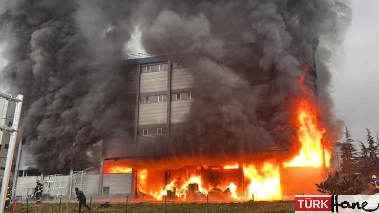 Trabzon’da fındık fabrikasında yangın