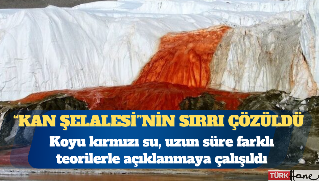 Antarktika’daki “Kan Şelalesi”nin gizemi çözüldü