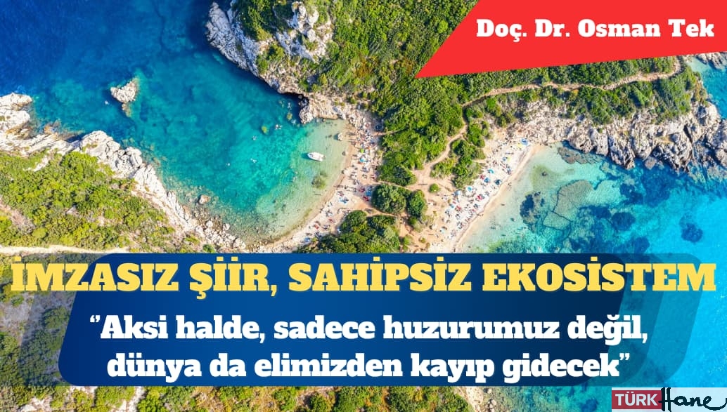 İmzasız şiir, sahipsiz ekosistem: Bir modern zaman şizofrenisi